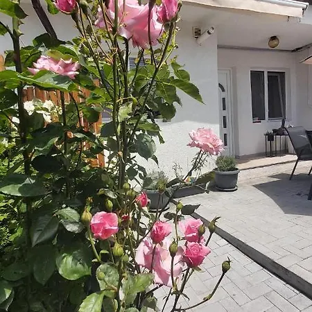 Apartment Holiday Home Constanta